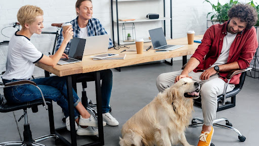 Young colleagues in the office smiling and stroking a dog.